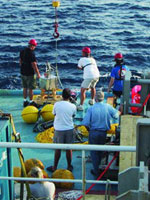 MMRI Researchers on the Mediterranean Sea